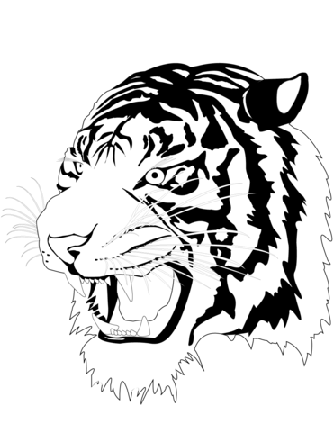 Tiger Head Coloring Page